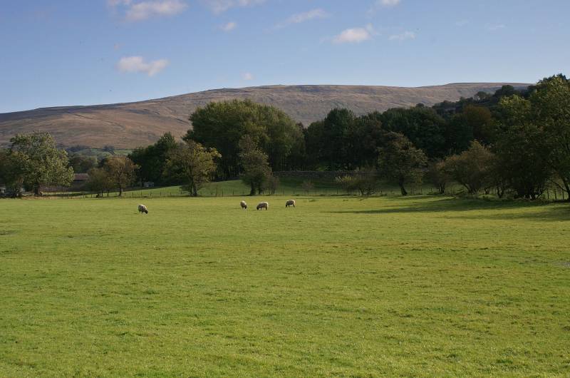 Under Combe Scar. 